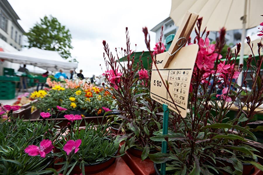 Die Winterpause ist zu Ende. In den nächsten Tagen beginnt die Wochenmarkt-Saison 2026.
