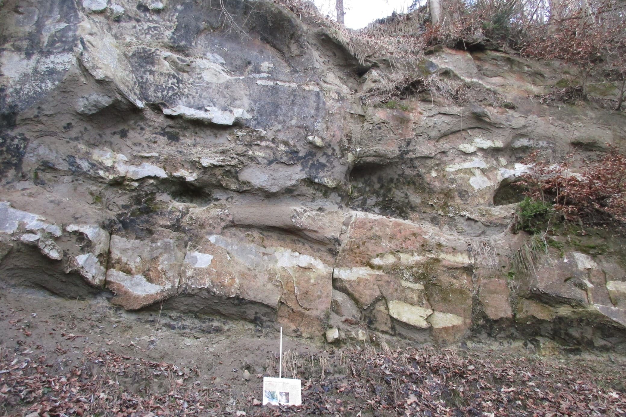 Ein zweisprachiges Hinweisschild informiert über ein angebliches Etruskergrab auf dem Weg zur Felsenegg.