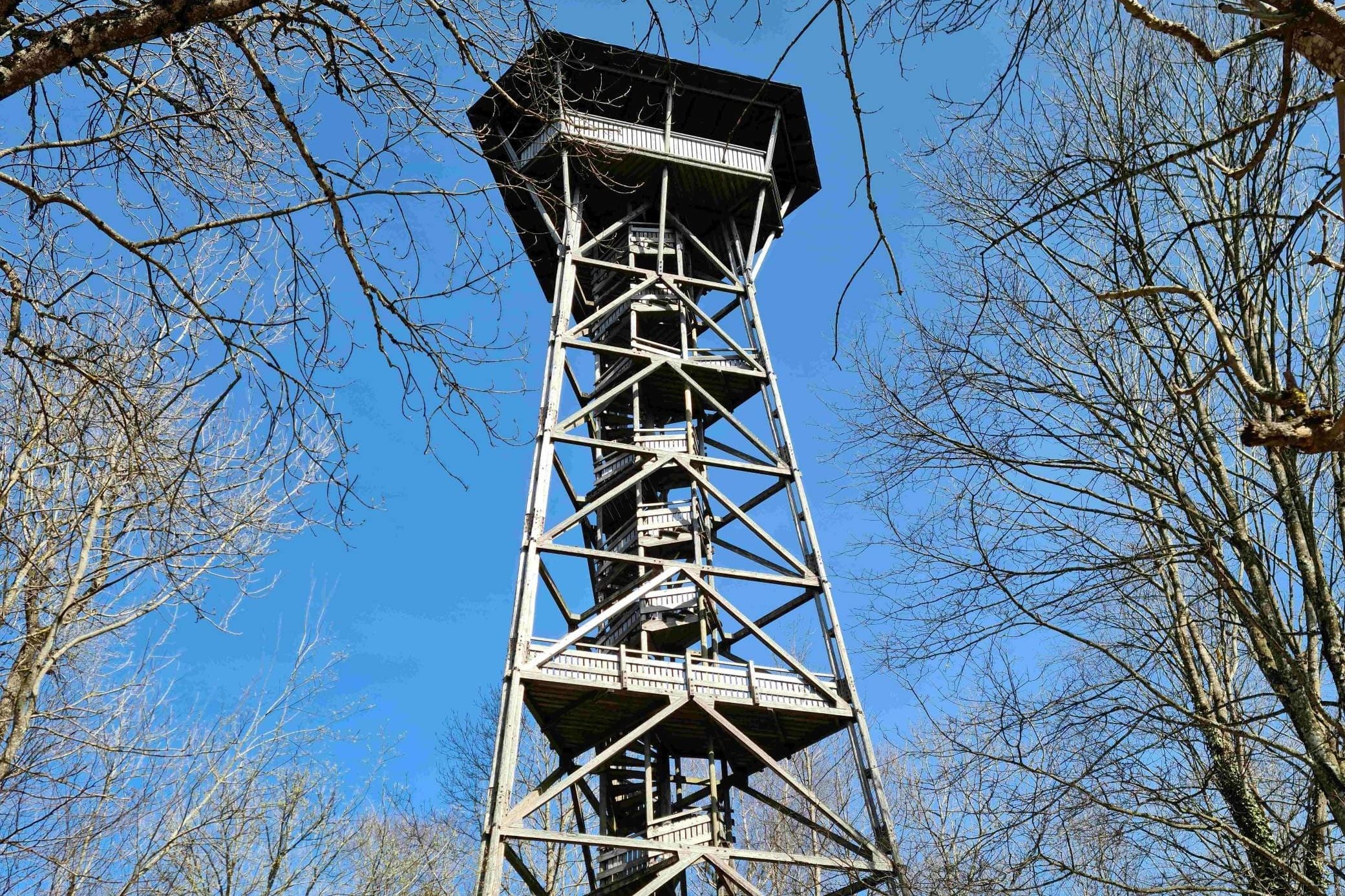 Seit bald 50 Jahren steht der Turm auf dem Albisgrat.