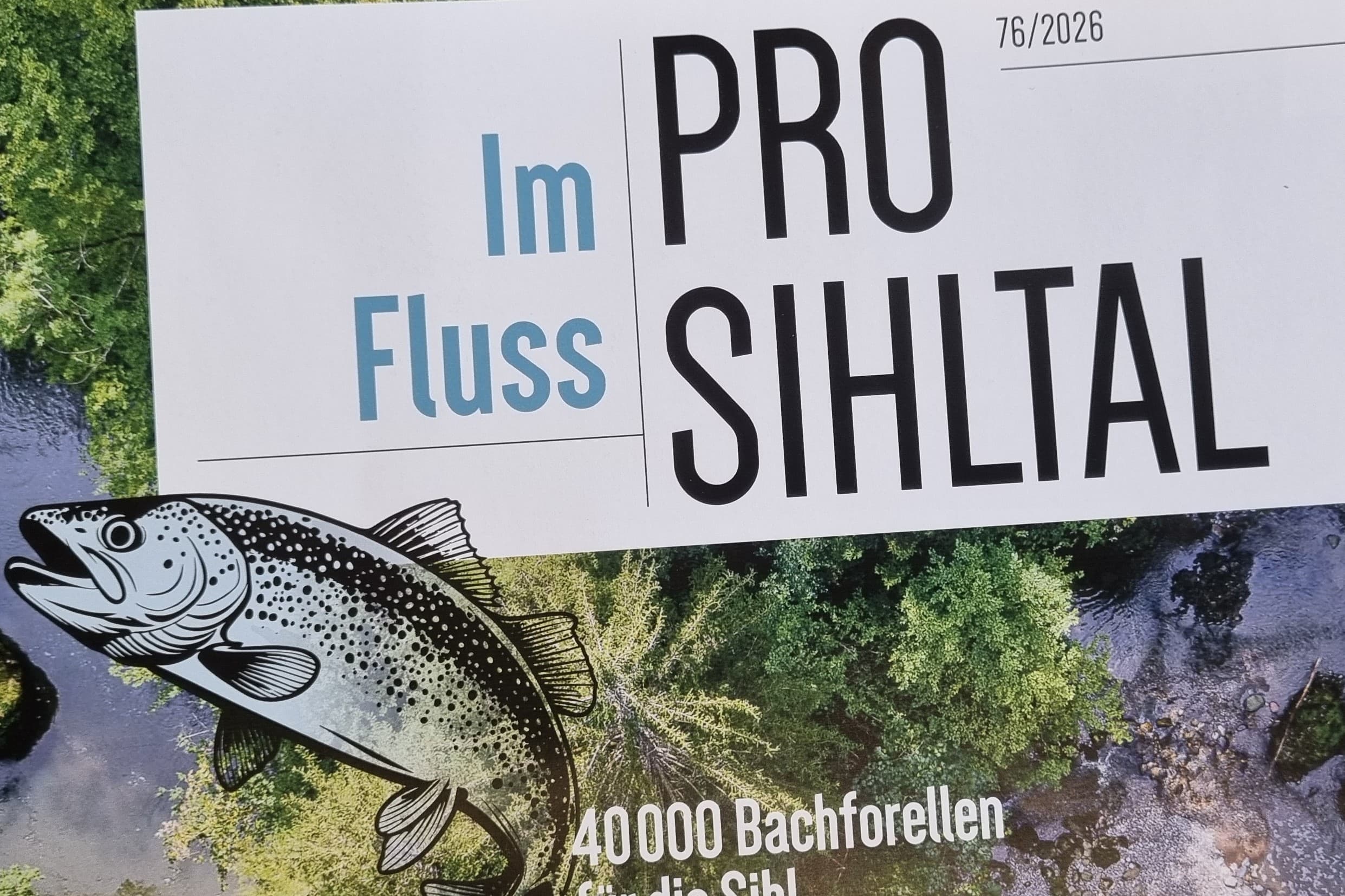 Im neusten Jahrheft lässt sich die Sihl als Lebensader neu entdecken.