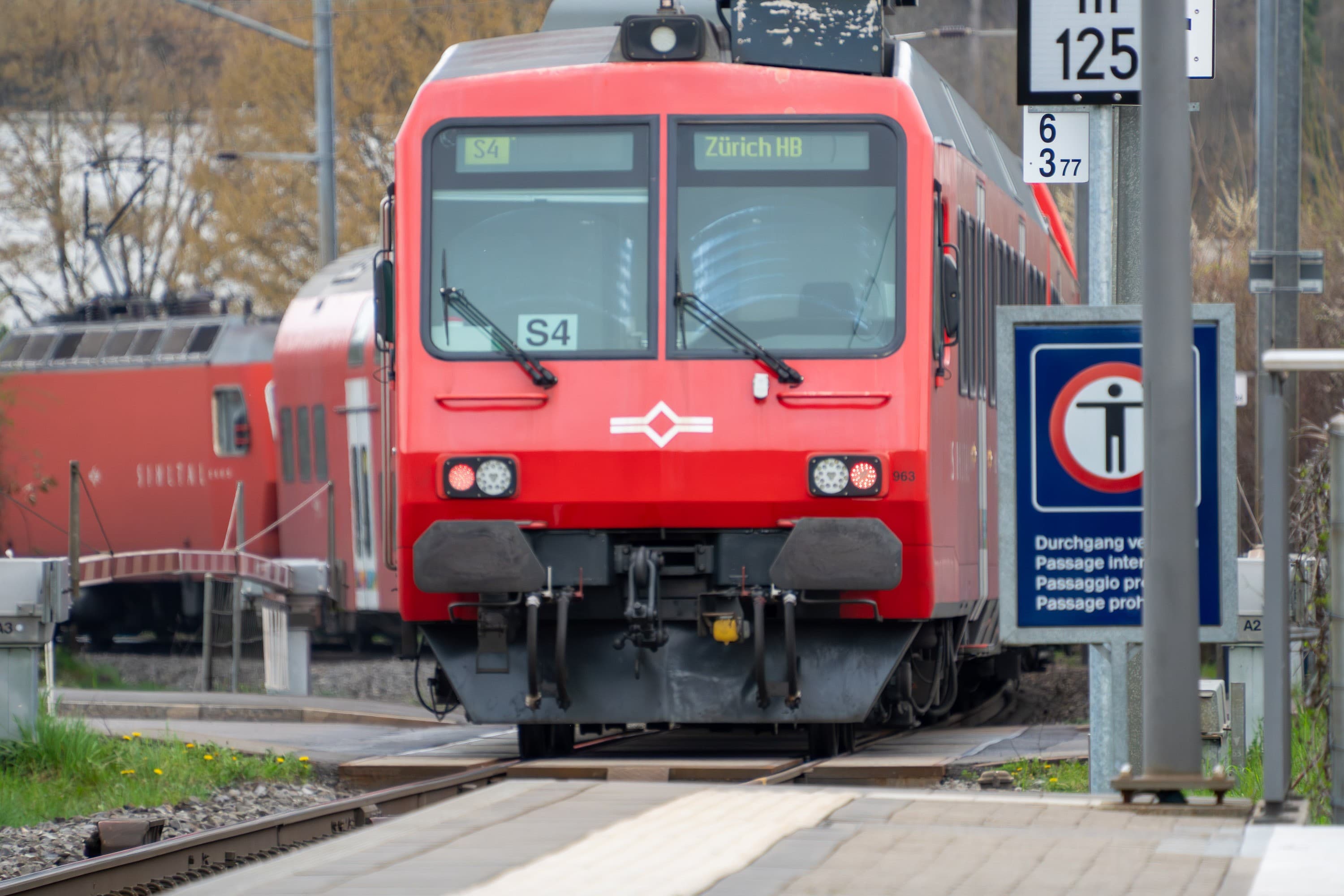Während 24 Wochen fährt die SZU-Linie S4 nicht mehr an den Zürcher Hauptbahnhof.