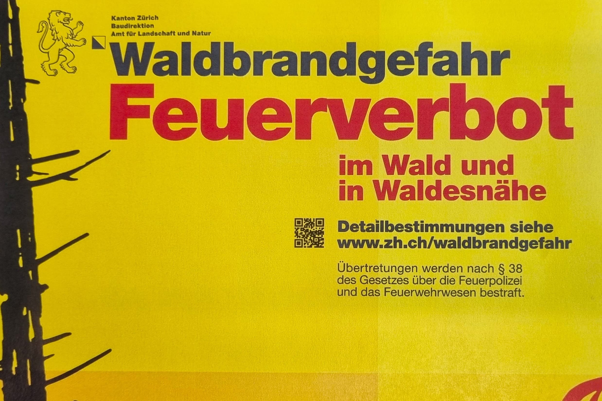 Die Trockenheit hat die Gefahr von Waldbränden stark erhöht.