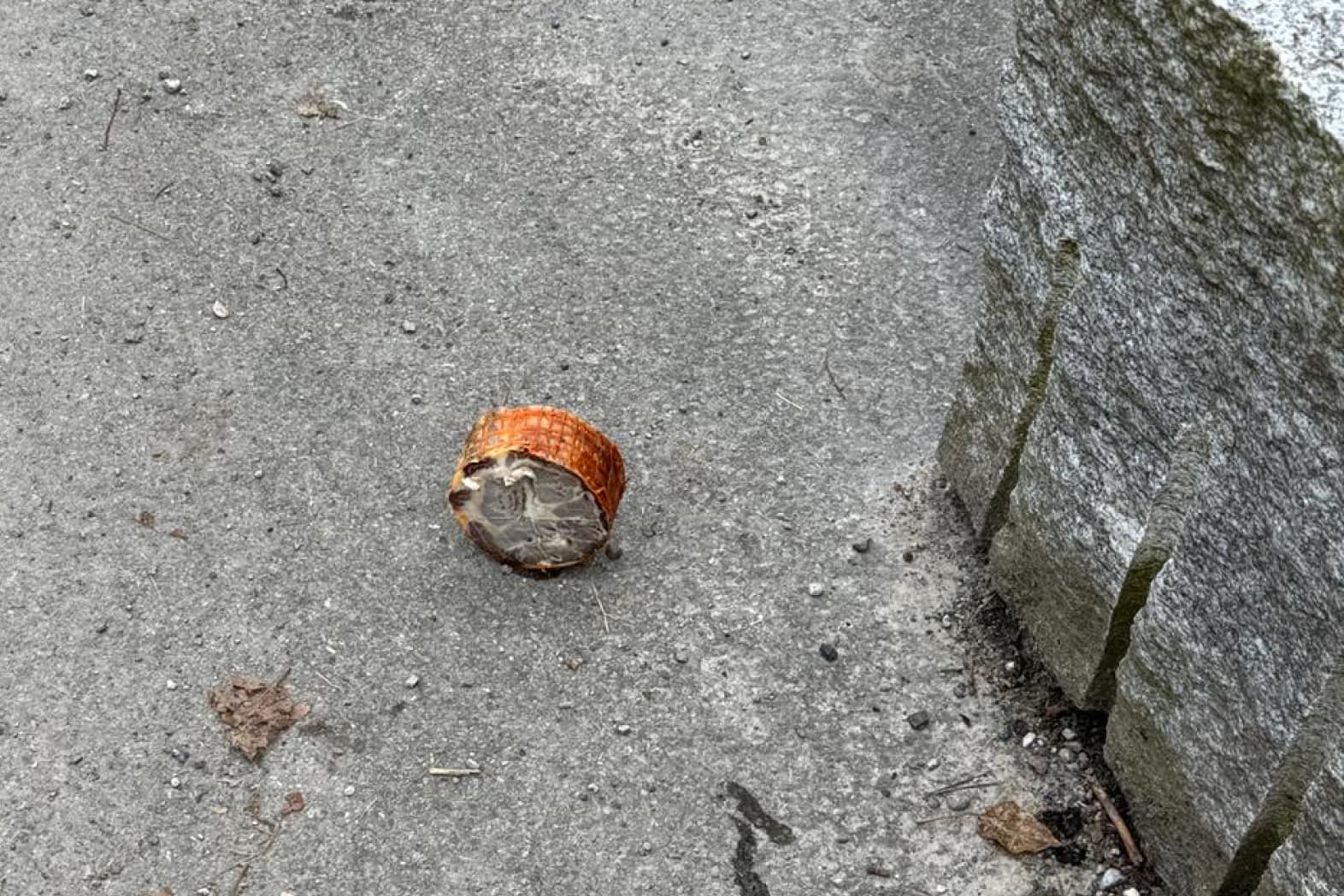 Verdächtige Fleischstücke auf dem Boden gefunden