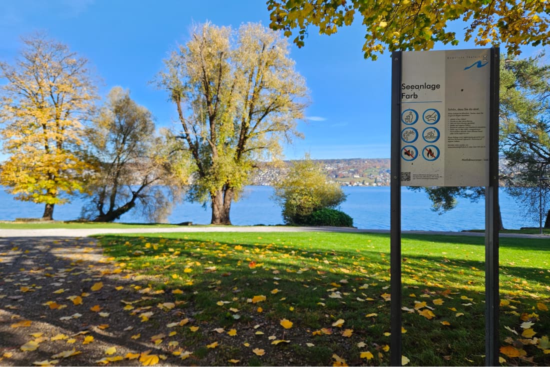 Um sofortige Massnahmen zur Altlastensicherung umzusetzen, schliesst die Gemeinde Thalwil die Seeanlage Farb ab dem 7. November 2025 für rund einen Monat.