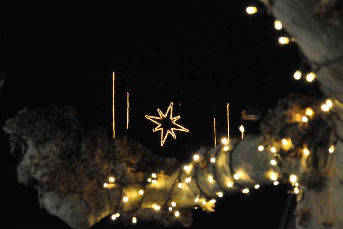 Mit einem Pilotprojekt will die Gemeinde Thalwil für festliche Stimmung im Dorfzentrum sorgen.