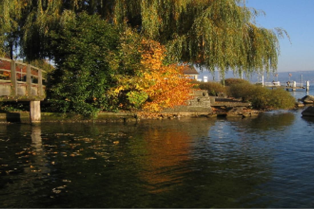 Das gegenseitige achtsame Zuhören und empathische Eingehen aufeinander sind stärkend für das seelische Gleichgewicht.
